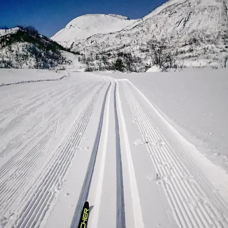 4 Bedroom Cozy In